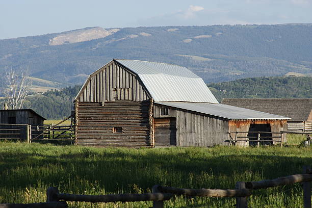 Old Barn -- Teton National Park stock photo