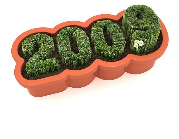 istock renewal & growth - new year card 147265981