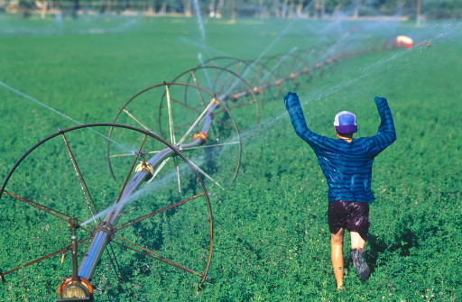 A boy runs through the sprinklers in a farmers field in Bishop, California.