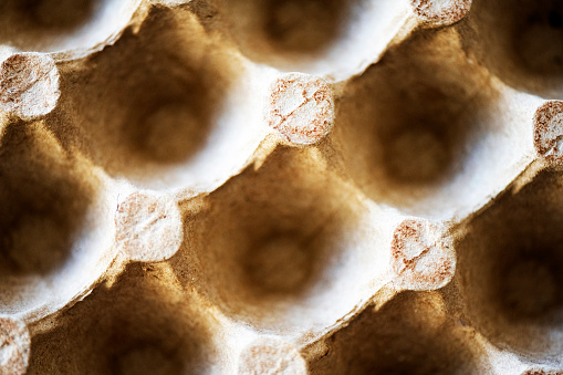 This is a close up photograph of an empty egg carton.