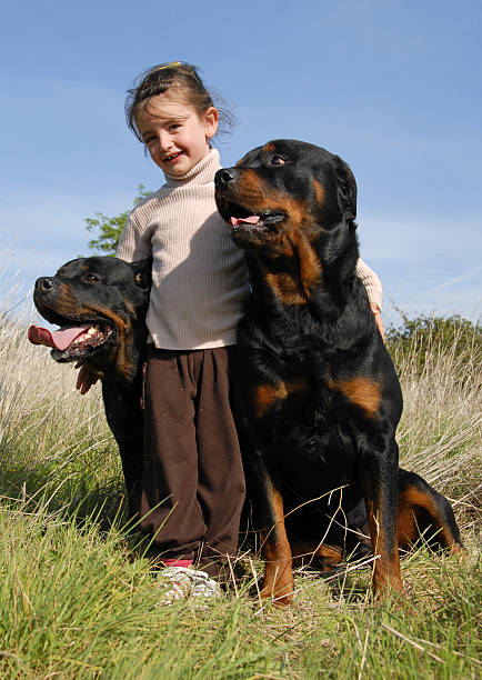 istock little girl and rottweilers 147266553