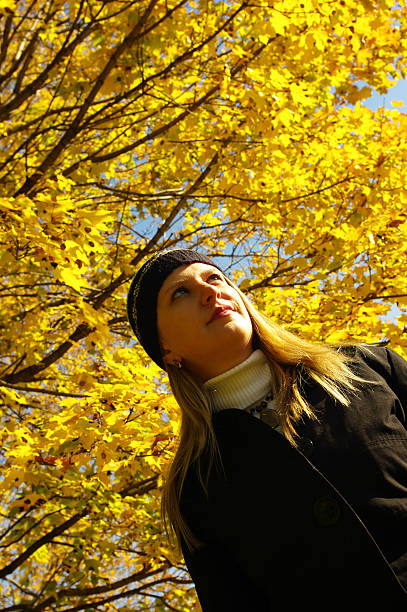 istock Lovely young woman in autumn. 147267276