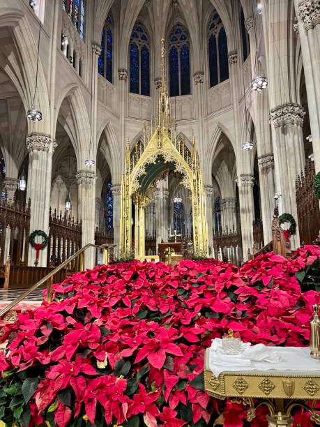 istock Interior of st Patrick’s cathedral 1472674786