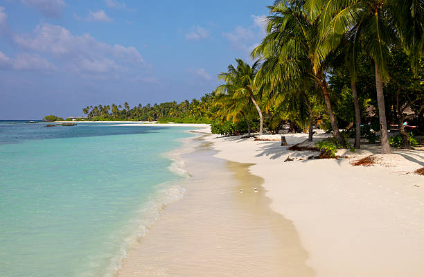 istock Beach on Kuredu island, Maldives 147267827