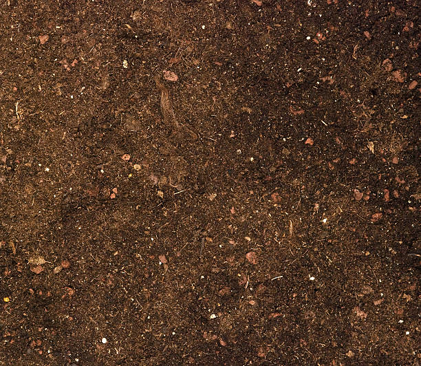 istock Close up of soil 147268060