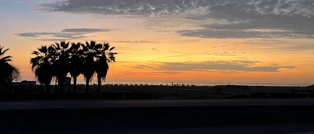 istock Sunset with silhouette of the palm trees 1472680925