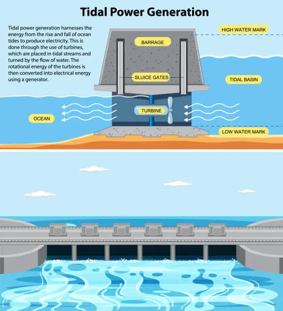 Vector illustration of Tidal Electricity Concept for Science Education