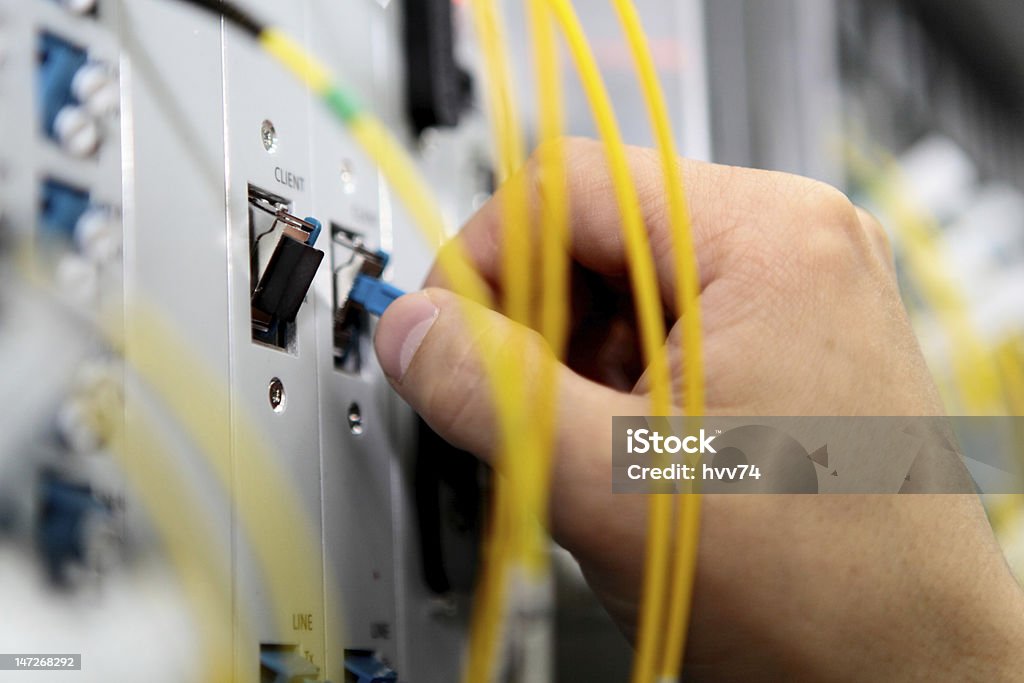 engineer adjusts the equipment engineer holds in a hand an optical fiber for equipment connection Blue-collar Worker Stock Photo