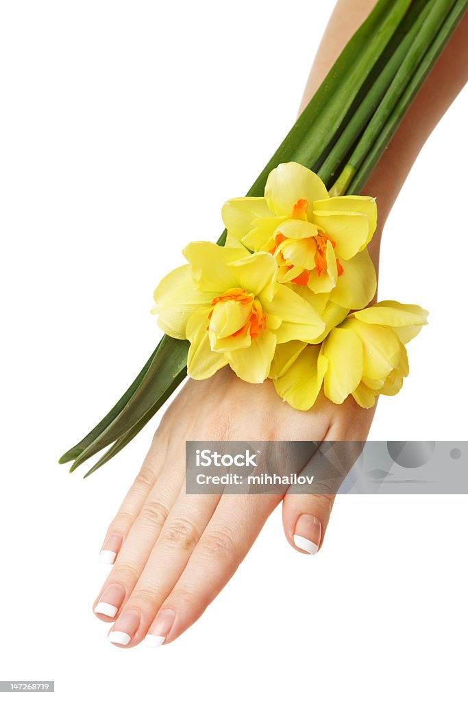 Main et de jonquilles de l'Etat - Photo de Adulte libre de droits