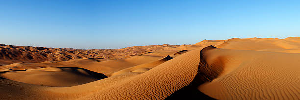 liwa-wüste - liwa desert stock-fotos und bilder