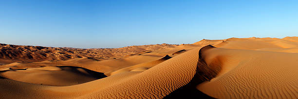 deserto de liwa - liwa desert imagens e fotografias de stock