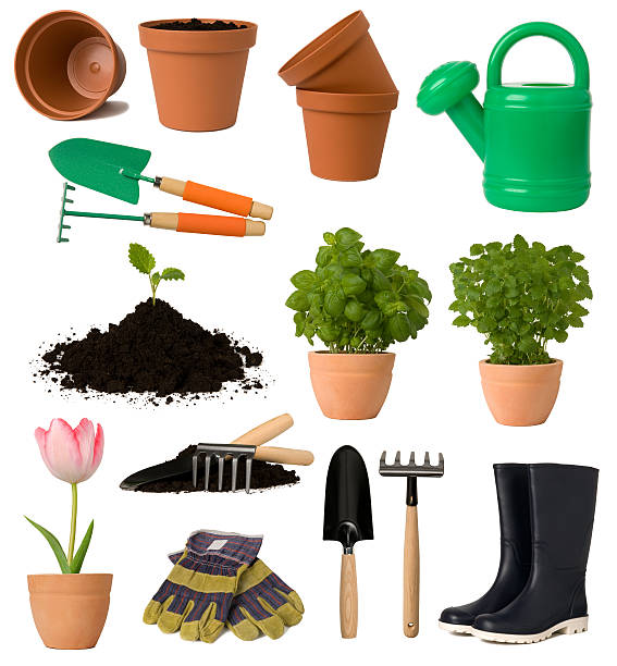 istock Various gardening equipment on a white background 147269680