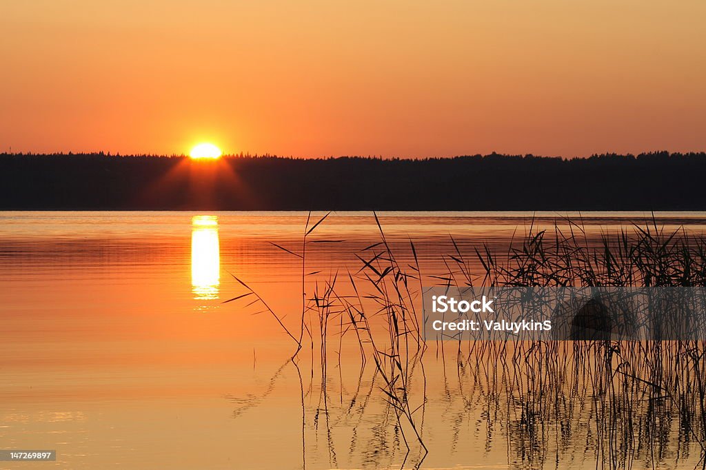 夕暮れの湖 - オレンジ色のロイヤリティフリーストックフォト