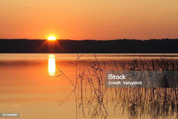 夕暮れの湖 - オレンジ色のストックフォトや画像を多数ご用意 - オレンジ色, シルエット, リラクゼーション