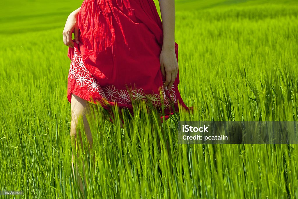 여름 느낌 - 로열티 프리 Red Dress 스톡 사진
