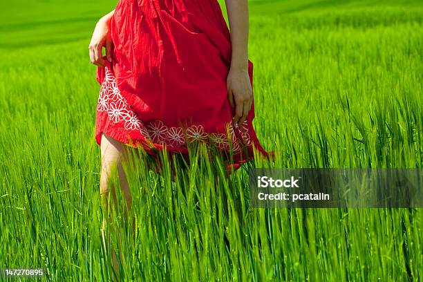 여름 느낌 Red Dress에 대한 스톡 사진 및 기타 이미지 - Red Dress, 걷기, 계절