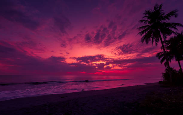 istock Beautiful tropical seascape 1472709340