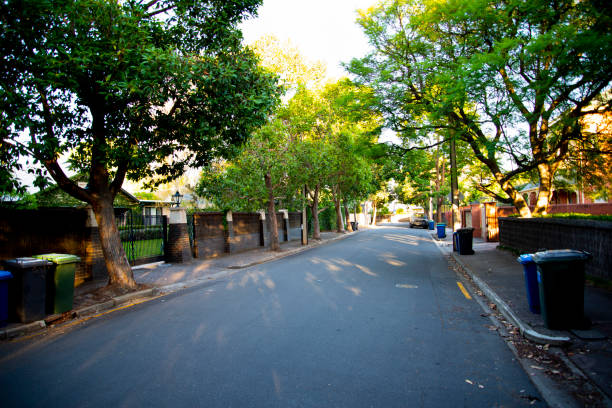 Hyde Park Suburb Hyde Park Suburb - Adelaide - Australia hyde park flowers stock pictures, royalty-free photos & images