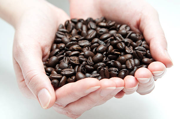 istock Handful of coffee beans 147271343