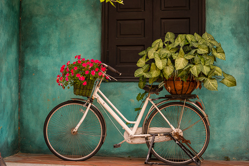 White vintage bike with basket full of flowers next to an old building in Danang, Vietnam, close up. Bicycle with a basket of flowers against the backdrop of an obsolete green wall