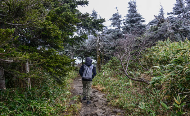 istock A man hiking on Hakkoda Mountains 1472716056