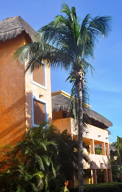 istock Palm trees and a pink building. 147271681