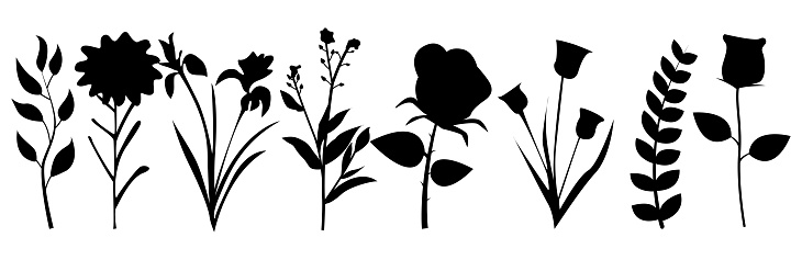 collection of flower stalk designs in silhouette style on isolated white background.
