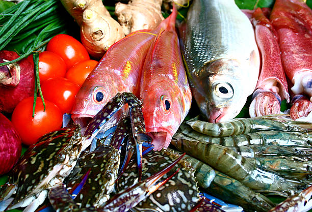 seafood stock photo