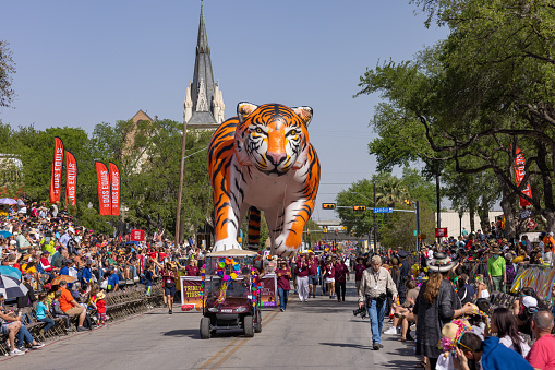San Antonio, Texas, USA - April 8, 2022: The Battle of the Flowers Parade, People with a large tiger balloon promoting the Trinity University