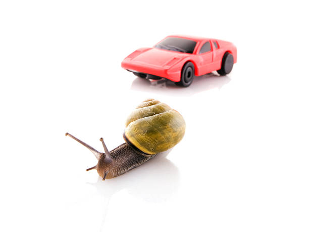 istock Snail versus sports car 147272062