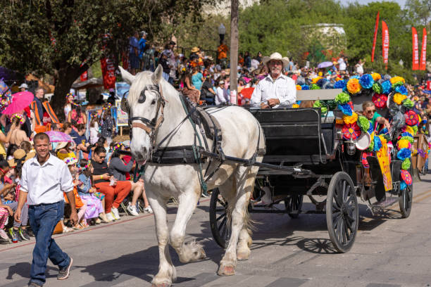 Bukittinggi, West Sumatra, Indonesia - February 4th 2024:  Horse with colorful blinkers also known as horse blinders in the traffic