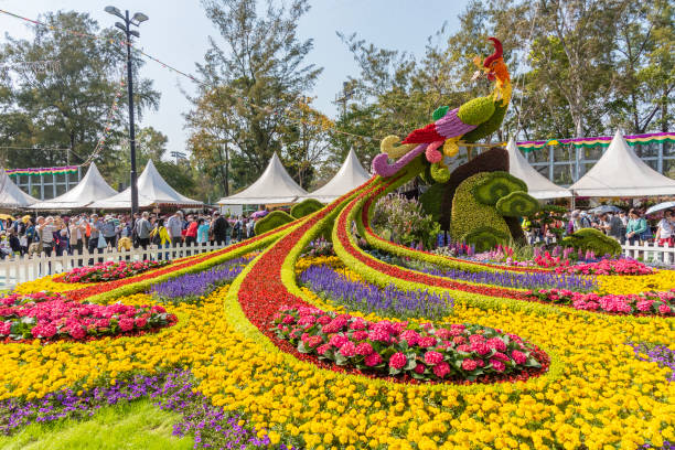 Ludzie robią zdjęcia w Hong Kong Flower Show odbywającym się w Victoria Park w Hongkongu. Jest organizowany przez Departament Usług Rekreacyjnych i Kulturalnych w Hongkongu – zdjęcie