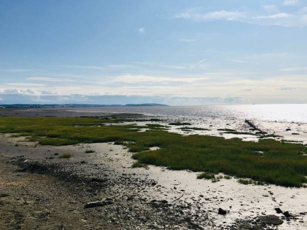 istock Tranquil coastal scene - calming meditation space 1472724484