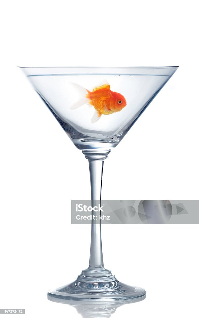 Peixinho em uma taça de martíni - Foto de stock de Copo royalty-free