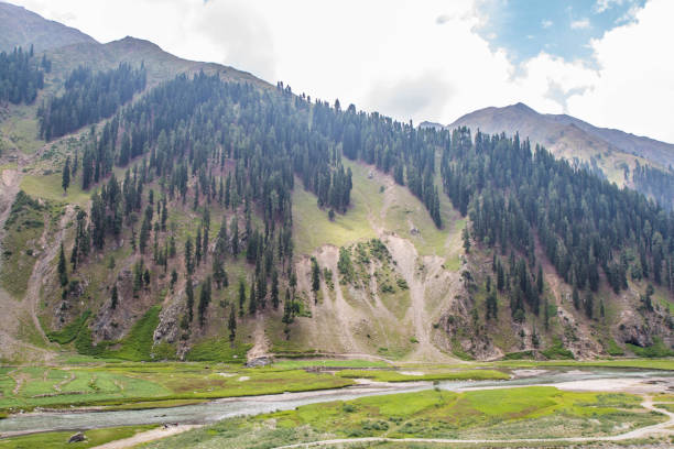 istock Fairy Meadows Nanga Parbat Beautiful Landscape Mountains View 1472725617