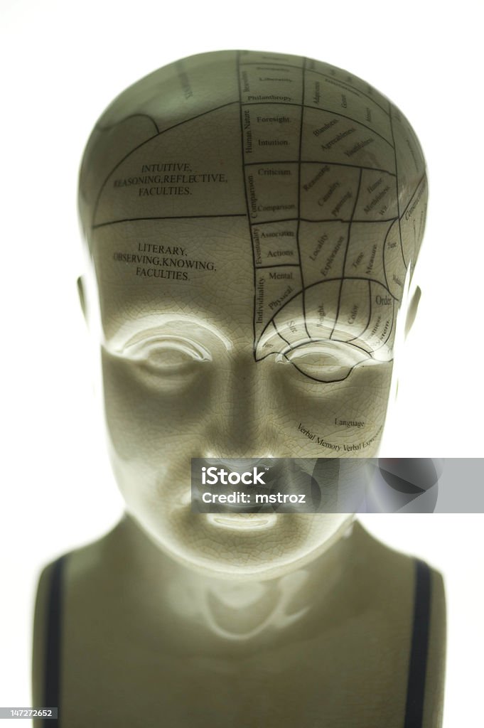Rzeźba Phrenology - Zbiór zdjęć royalty-free (Neurobiologia)
