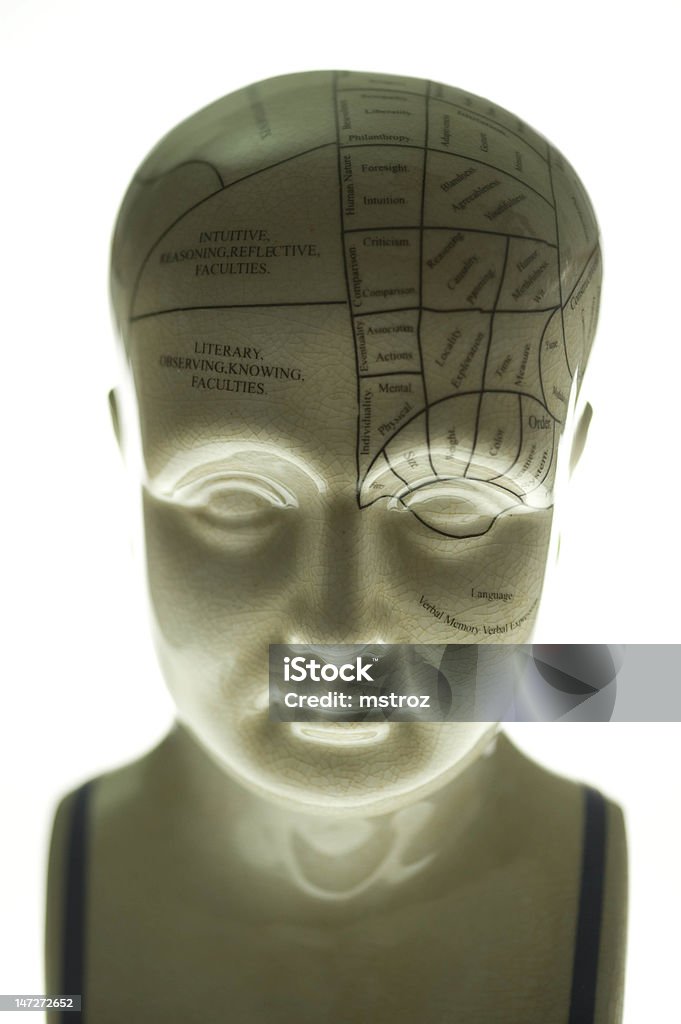 Phrenology Скульптура - Стоковые фото Нейробиология роялти-фри