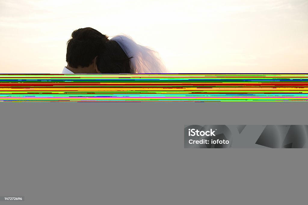 Newlywed Couple on Beach Rear view of a newlywed couple hugging on beach. Horizontal shot. Bride Stock Photo