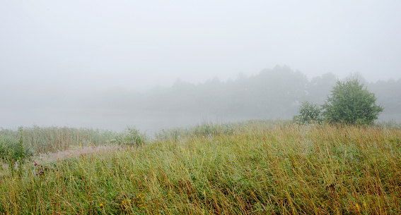 Serene landscape in the fog - the shores of Lake Otolovo in Belarus