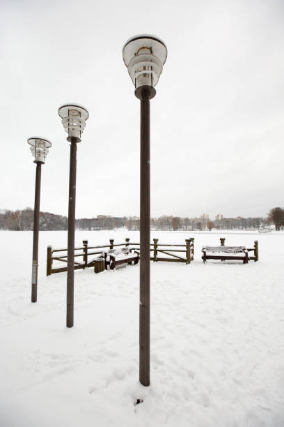 Freshly fallen snow at the beginning of winter in a city park, black trees on a white background.