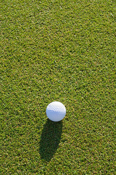istock Golf ball on the putting green 147273190