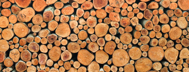 istock wall of wood stump background 1472734864