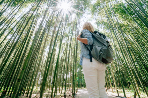 istock Young woman visiting bamboo forest in Japan 1472739859