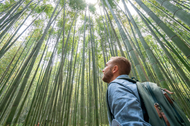 istock Young man visiting bamboo forest in Japan 1472740373