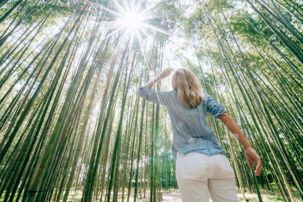 istock Young woman visiting bamboo forest in Japan 1472741155