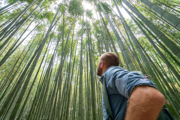 istock Young man visiting bamboo forest in Japan 1472742092