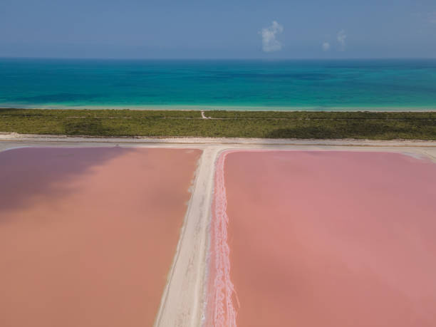 istock Drone view of pink lakes in Mexico 1472743529