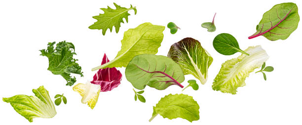 istock Falling salad leaves isolated on white background with clipping path 1472744416