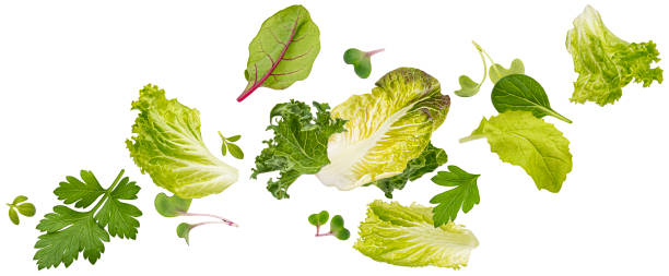 istock Falling salad leaves isolated on white background 1472744418
