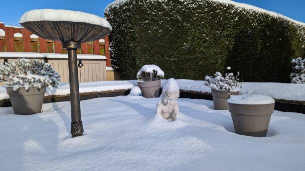 istock Garden in snow 1472745011